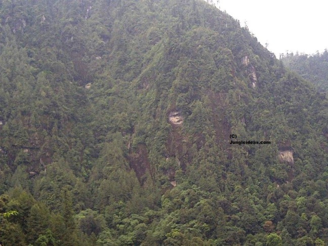 Arunachal Pradesh, Arunachal Tourism, Mechuka Valley, Mechuka Hotels, Mechuka Homestays